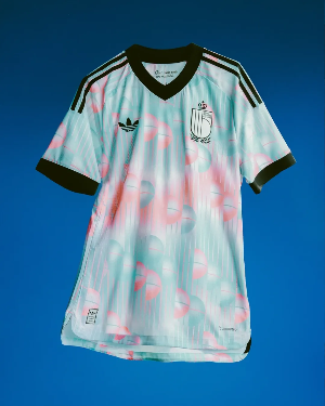 BELGIUM 2026 WORLD CUP AWAY JERSEY(NATIONAL PLAYER VERSION)